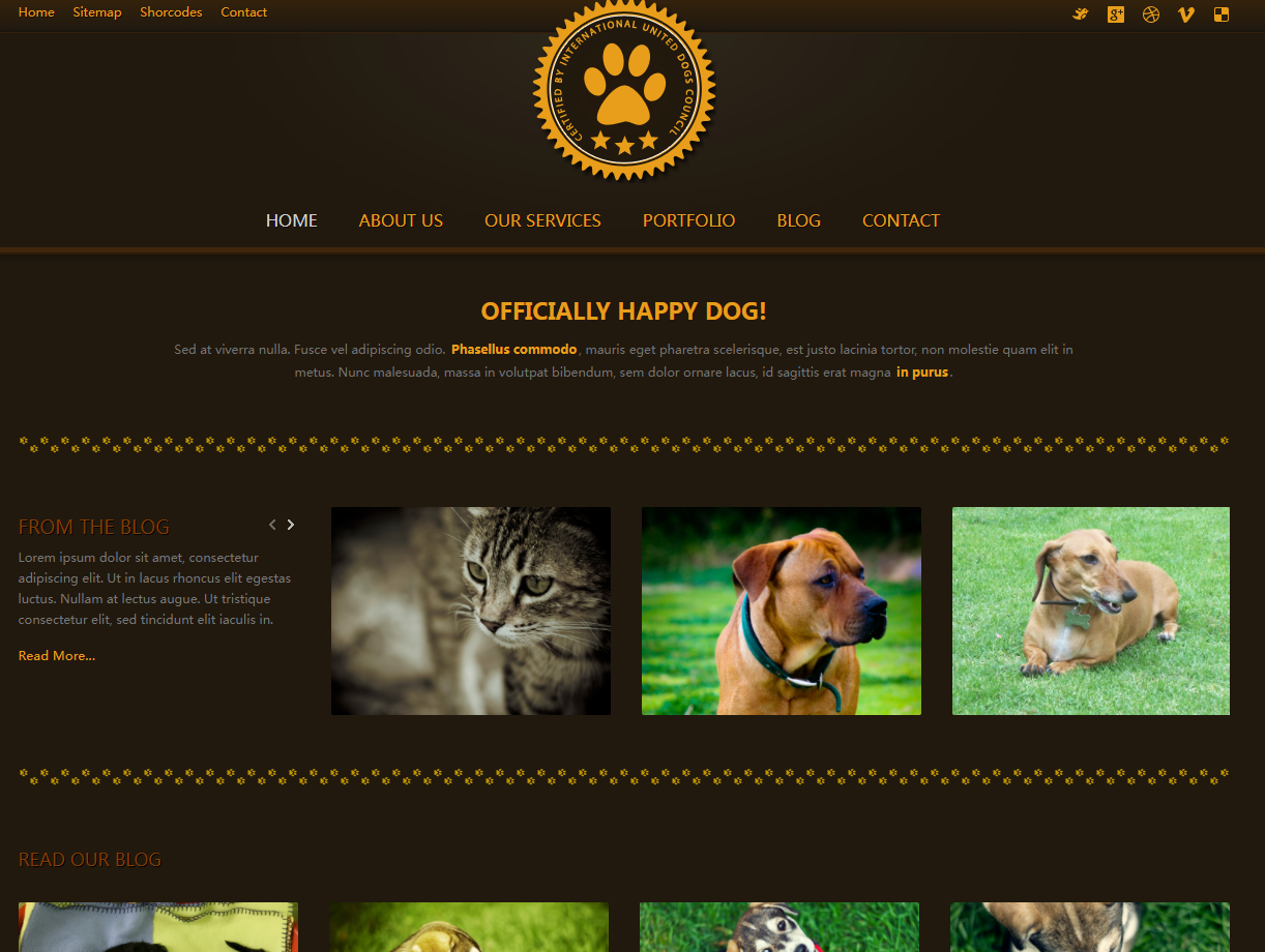 狗类展示网站模板