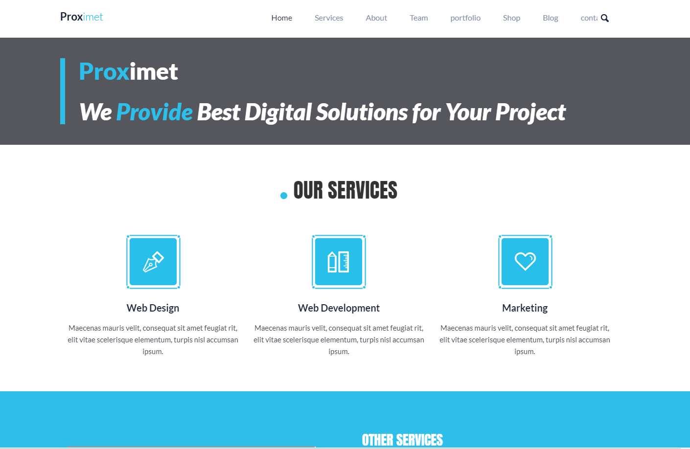 互联网服务企业网站模板