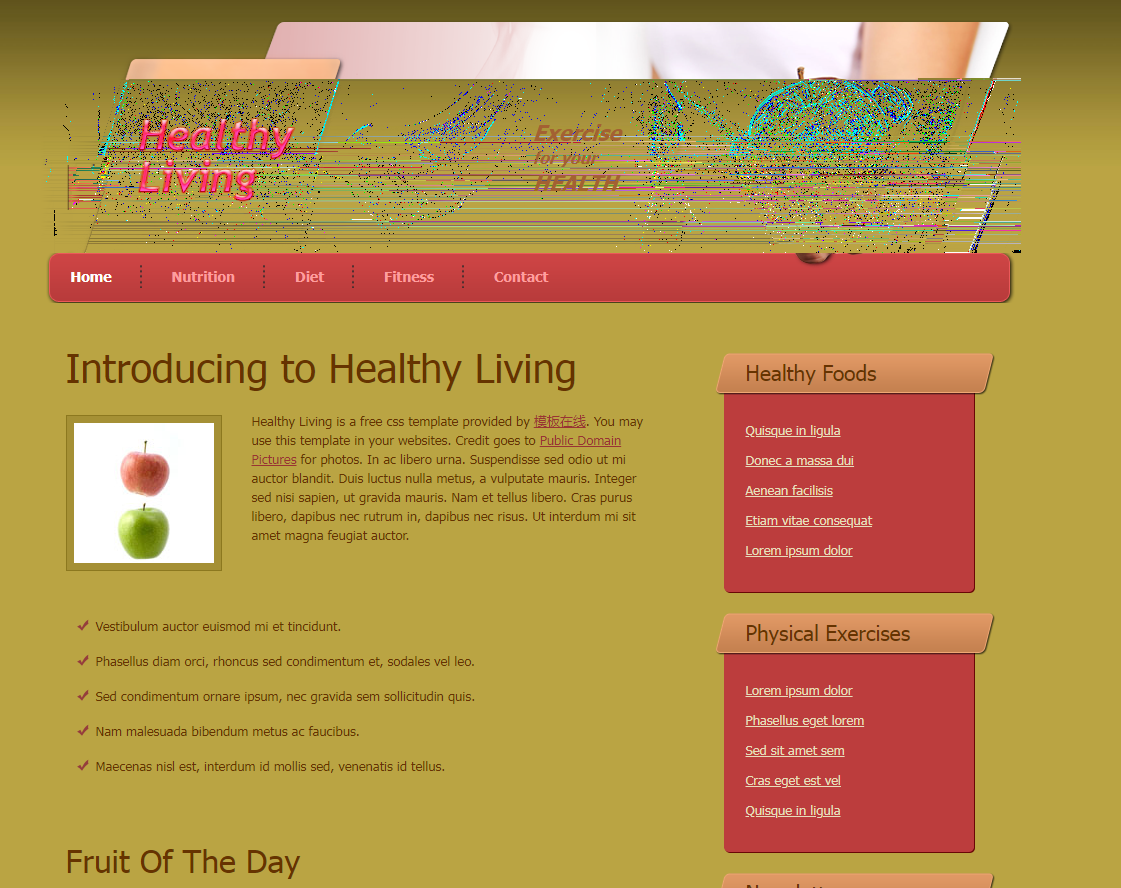 健康生活类网站模板