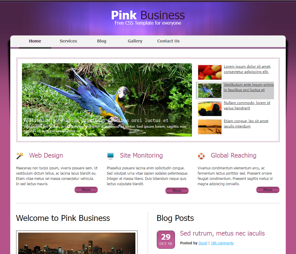 粉色商业主题 -  CSS 模板