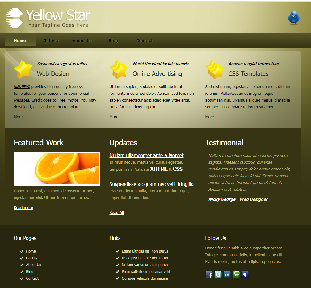黄星网站模板