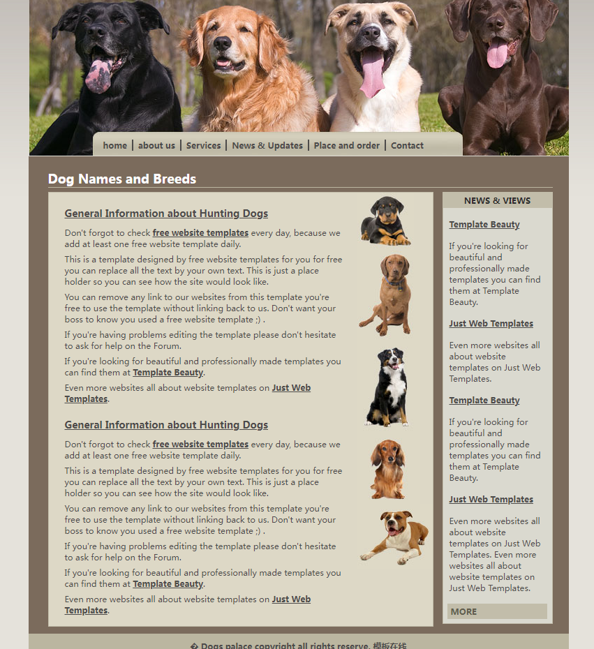 宠物狗网站模板