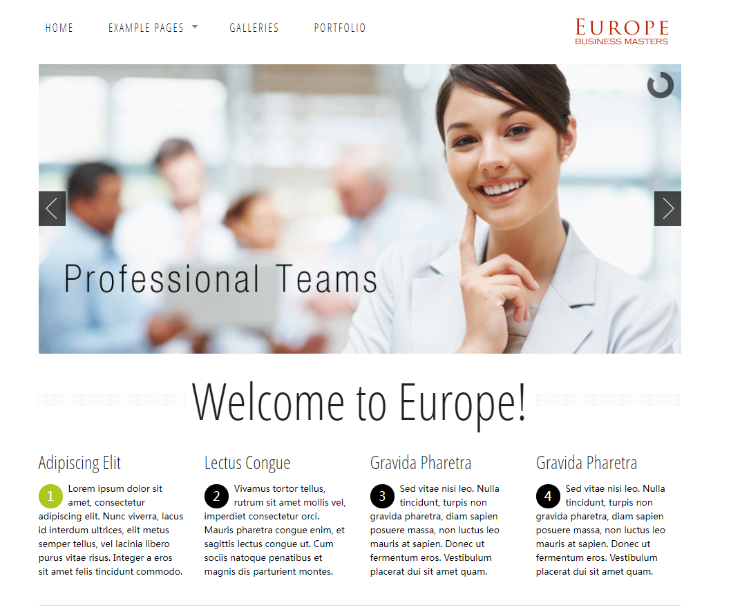欧洲介绍网站模板