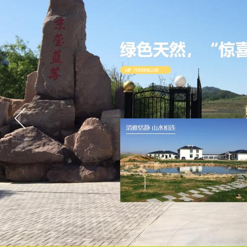 小清新农业农林农家乐类企业网站织梦模板