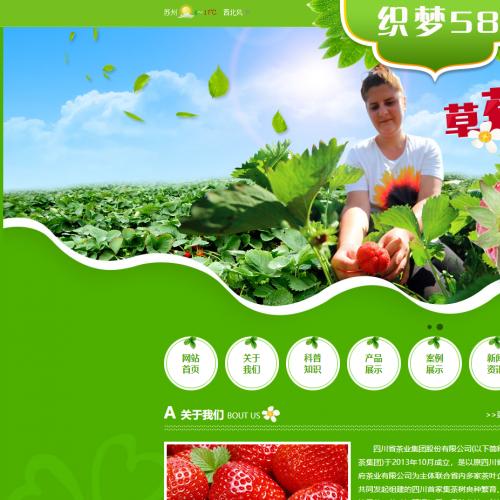 绿色水果蔬菜类织梦模板(带手机端)
